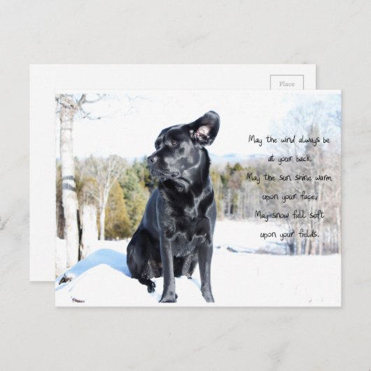 Sun en Wind - Dog Quote - Black Labrador Briefkaart (Voorkant / Achterkant)