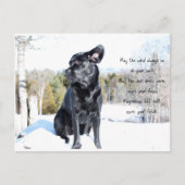 Sun en Wind - Dog Quote - Black Labrador Briefkaart (Voorkant)