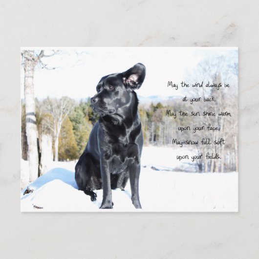 Sun en Wind - Dog Quote - Black Labrador Briefkaart (Voorkant)