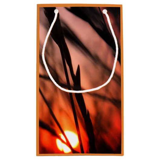 Sun Field Celebration Gift Bag - Klein, glanzend Klein Cadeauzakje (Achterkant)