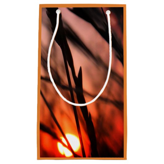 Sun Field Celebration Gift Bag - Klein, glanzend Klein Cadeauzakje (Voorkant)