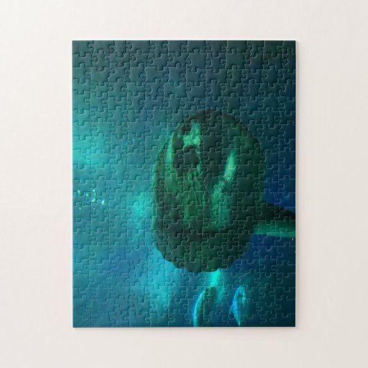 Sun Fish. Legpuzzel (Verticaal)