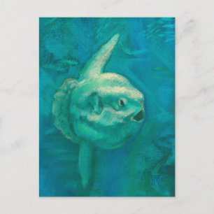 Sun Fish, Mola Mola Ocean Underwater Animals Art Briefkaart