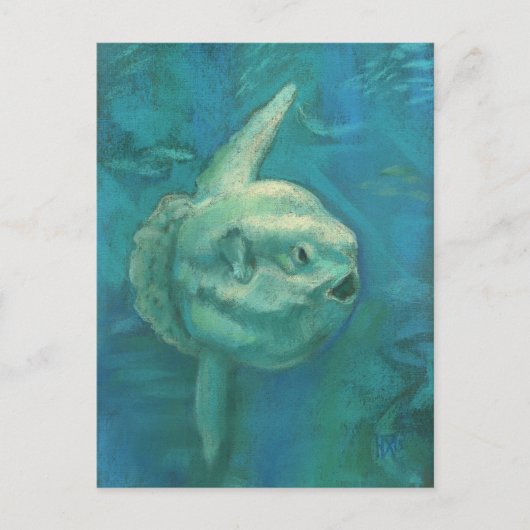Sun Fish, Mola Mola Ocean Underwater Animals Art Briefkaart (Voorkant)