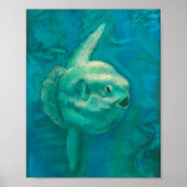 Sun Fish, Mola Mola Ocean Underwater Animals Art P Poster (Voorkant)