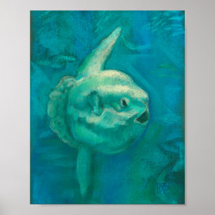 Sun Fish, Mola Mola Ocean Underwater Animals Art P Poster