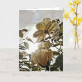 Sun Flare Yellow Roses Blank Note Kaart (Gele Bloem)