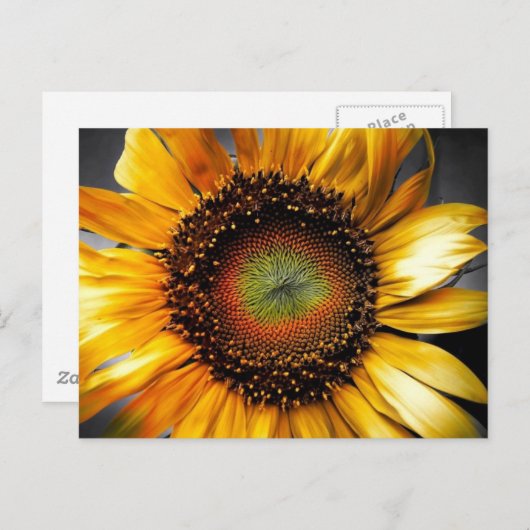 Sun Flower Briefkaart (Voorkant / Achterkant)