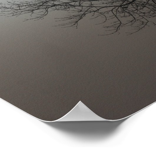 Sun, Fog, Tree - Ohio Poster (Hoek)