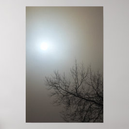 Sun, Fog, Tree - Ohio Poster
