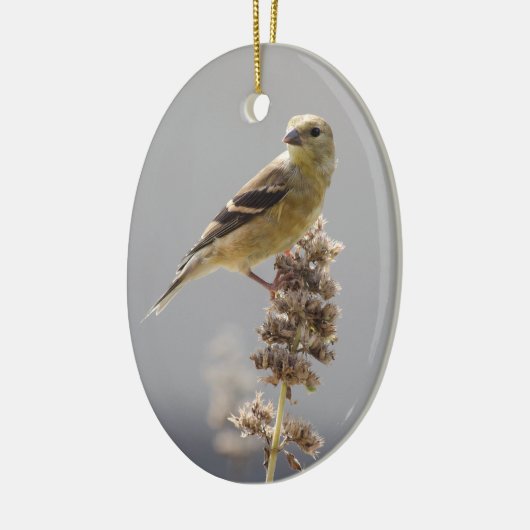 Sun Gilded Goldfinch Keramisch Ornament (Links)