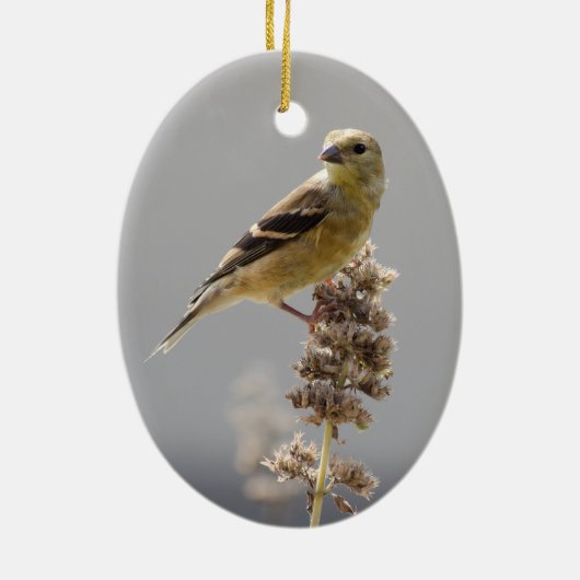 Sun Gilded Goldfinch Keramisch Ornament (Achterkant)