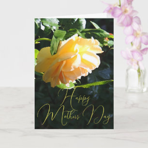 Sun Glow Yellow Rose Happy Moederdag Kaart