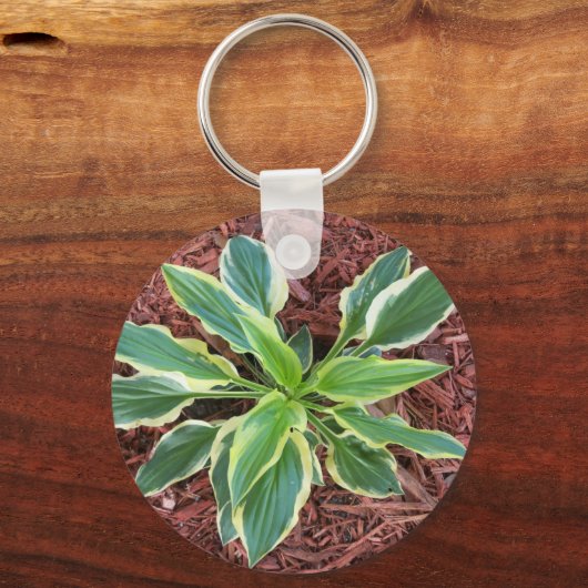 Sun Hosta Sleutelhanger (Voorkant)