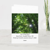 Sun in the Trees - Birthday Kaart (Achterkant)