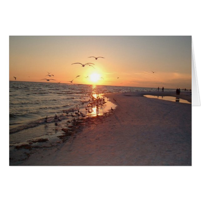 Sun-instelling op Siesta (Voorkant Horizontaal)