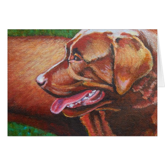 Sun Kast Chocolate Labrador Retriever (Voorkant Horizontaal)