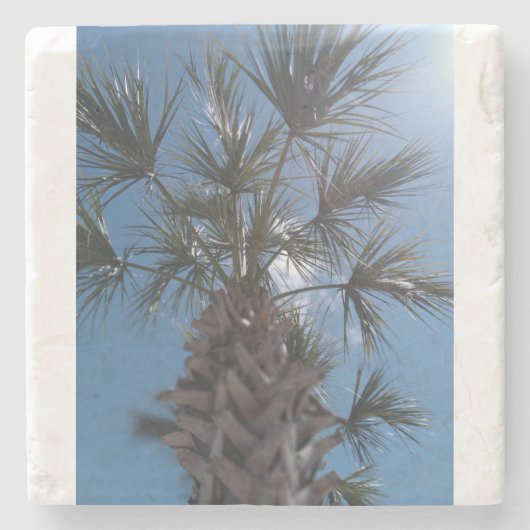 Sun-Kissed Palm Tree Stone Coaster – Palm Blessing Stenen Onderzetter (Voorkant)