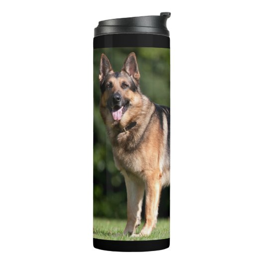 Sun-Kust in het Park Thermosbeker (Gedraaid links)