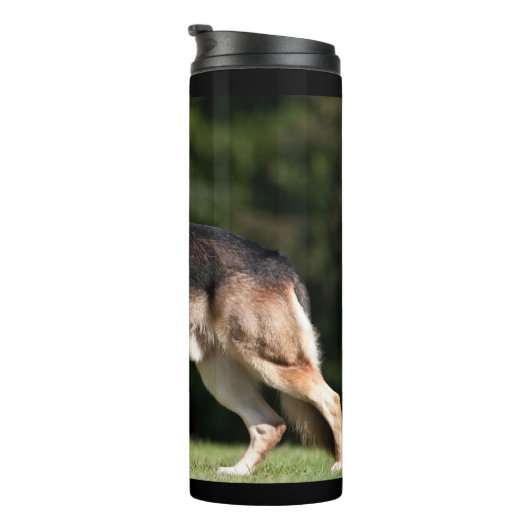 Sun-Kust in het Park Thermosbeker (Geroteerd rechts)