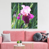 Sun-Kust Pink Iris Flower Canvas (Insitu (Woonkamer))