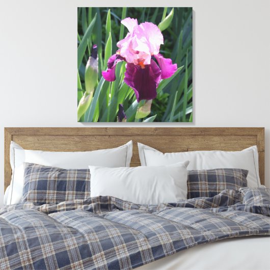 Sun-Kust Pink Iris Flower Canvas (Insitu (Slaapkamer))