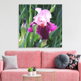Sun-Kust Pink Iris Flower Canvas Afdruk