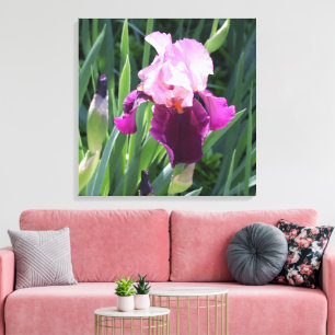 Sun-Kust Pink Iris Flower Canvas Afdruk
