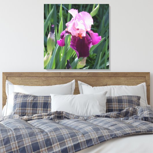 Sun-Kust Pink Iris Flower Canvas Afdruk (Insitu (Slaapkamer))