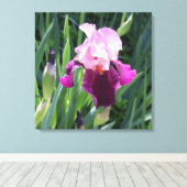Sun-Kust Pink Iris Flower Canvas Afdruk (Insitu (Houten vloer))