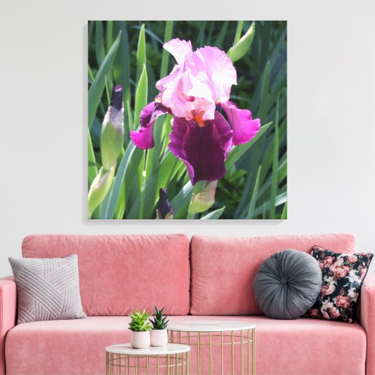 Sun-Kust Pink Iris Flower Canvas Afdruk (Insitu (Woonkamer))