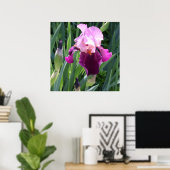 Sun-Kust Pink Iris Flower Poster (Thuiskantoor)