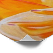 Sun Kust, Poster, sinaasappel, leven, aanbidding,  Poster (Hoek)