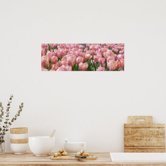 Sun-kust roze Tulips Poster (Keuken)