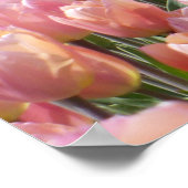 Sun-kust roze Tulips Poster (Hoek)