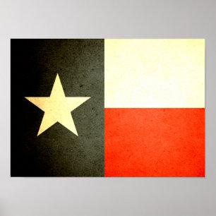 Sun kust Texas Flag Poster