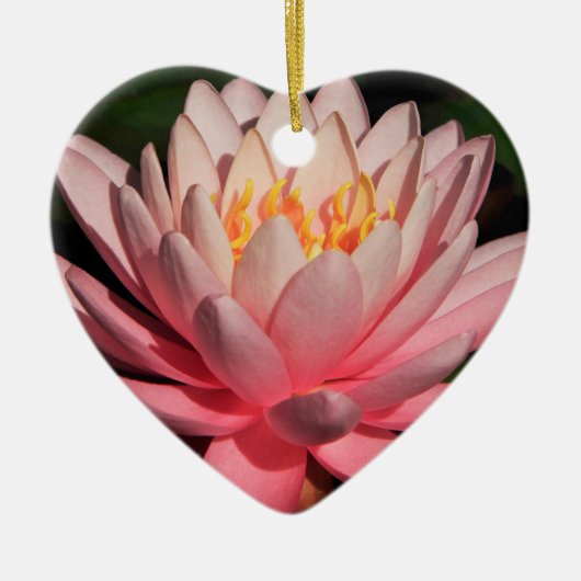 Sun Kust Water Lily 2 Keramisch Ornament (Voorkant)