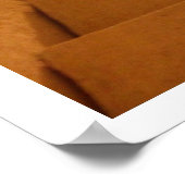 Sun-lit Stappen Poster (Hoek)