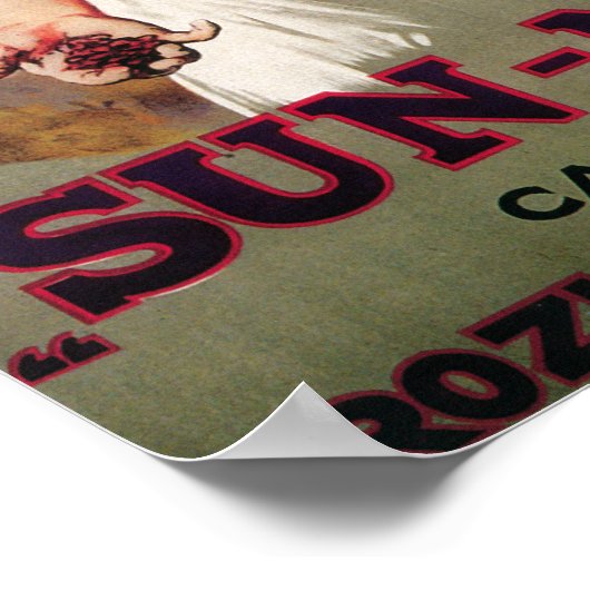 Sun-Maid California Raisin Poster (Hoek)