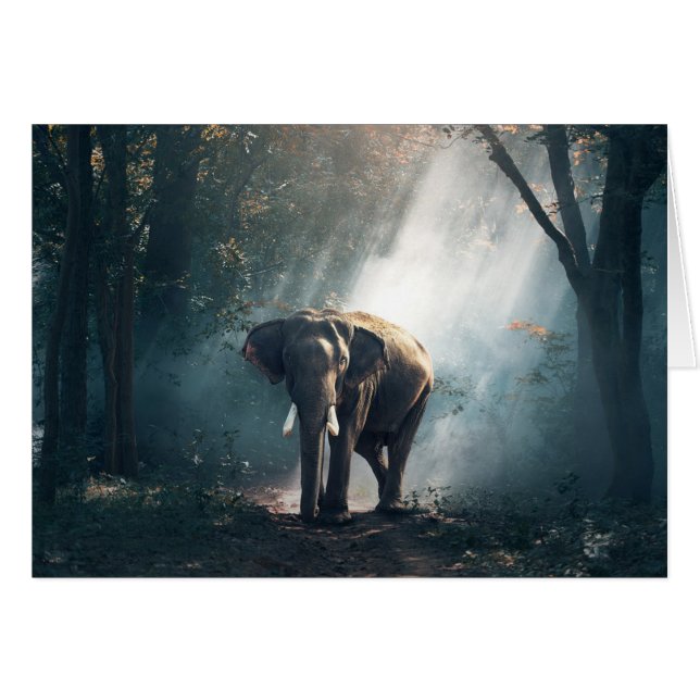 Sun met lephant in Forest Blank Card (Voorkant Horizontaal)