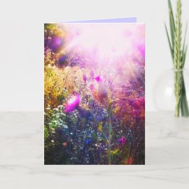 SUN ON THISTLES ORIGINEEL WENSKAART KAART