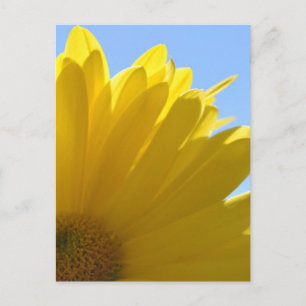 Sun op Petals Briefkaart