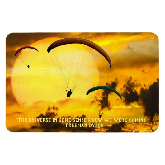 Sun Paragliders Scientist Quotation Magneet (Horizontaal)