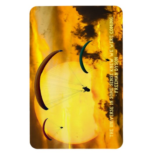 Sun Paragliders Scientist Quotation Magneet (Verticaal)