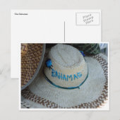 Sun pet Bahama's Briefkaart (Voorkant / Achterkant)
