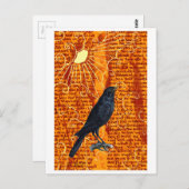 Sun Raven Briefkaart (Voorkant / Achterkant)