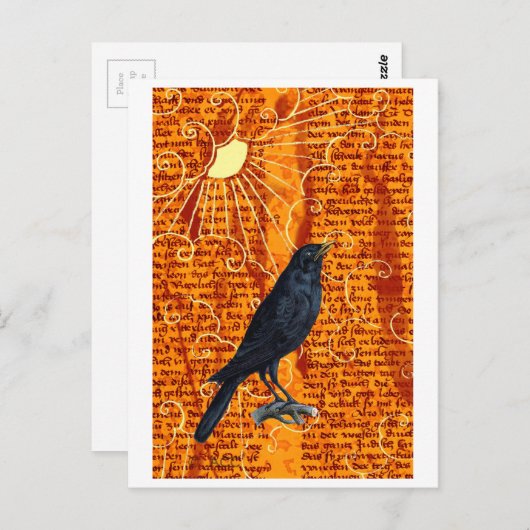 Sun Raven Briefkaart (Voorkant / Achterkant)