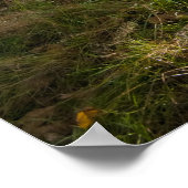 Sun Rays door de bomen Poster (Hoek)