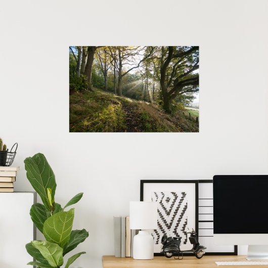 Sun Rays door de bomen Poster (Thuiskantoor)