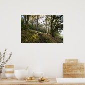 Sun Rays door de bomen Poster (Keuken)